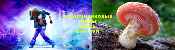 PSILOCYBIN Коряжма