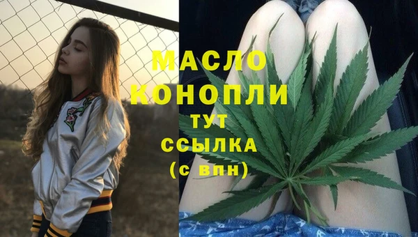 2c-b Краснослободск